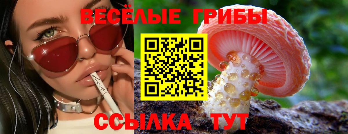 как найти наркотики  Галлюциногенные грибы Magic Shrooms  Вход с VPN  Павловский Посад  Галлюциногенные грибы GOLDEN TEACHER 